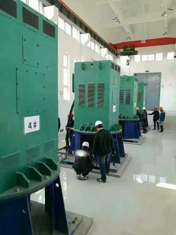 丽江某污水处理厂使用我厂的立式高压电机安装现场生产厂家
